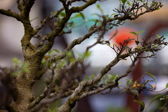 STÄRKEN DER MITARBEITERBINDUNG