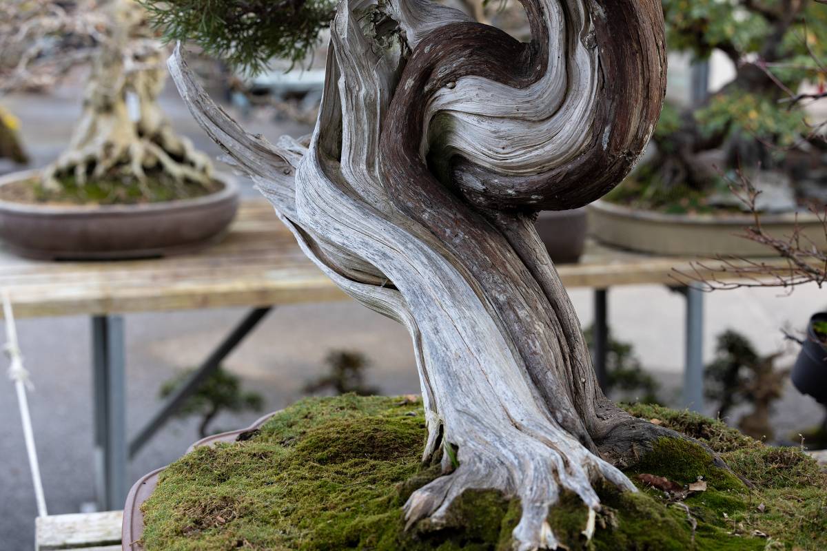 Mitarbeiteranbindung_Stamm