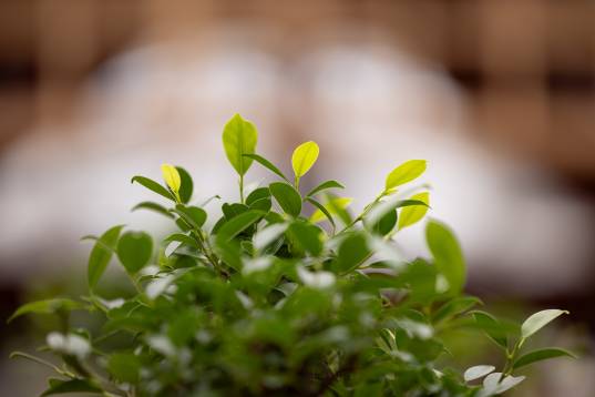 Personalrekrutierung_PwPo_2