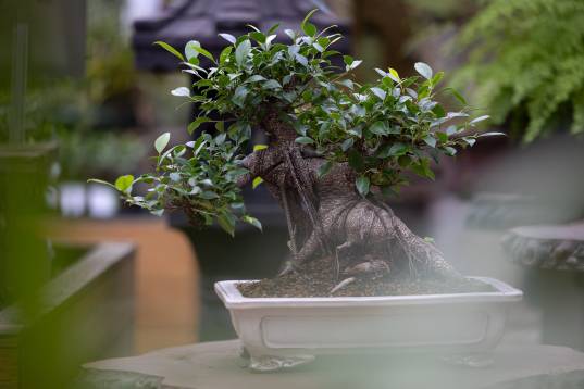 PERSONALREKRUTIERUNG