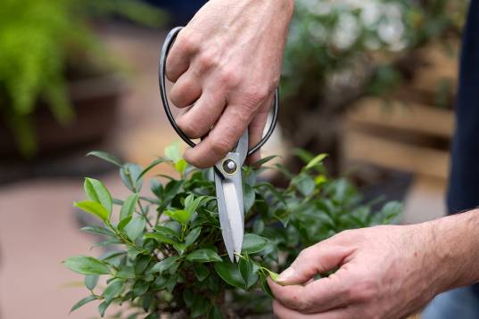 Pflege_Schale_Erde_Upsourcen Pw_2